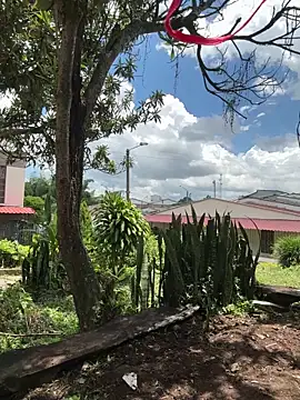 Elferjuan1310 webcam