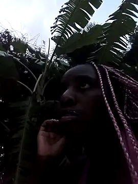 BlackPearl_19 webcam