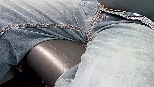 biswingcruiser webcam