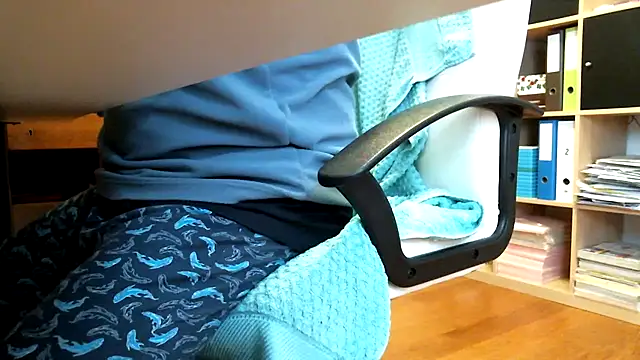 leccaleccafiga webcam