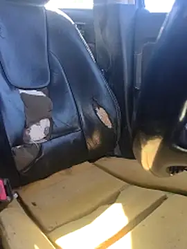 FloppyPickle4u webcam