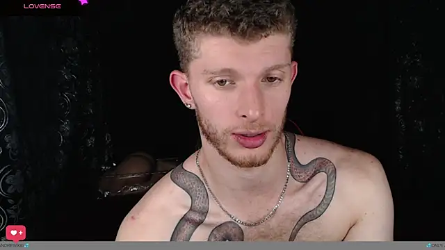 andrewxbi webcam
