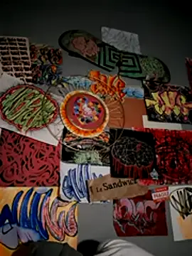 Crazy_TBM-BWC webcam