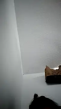 Tiphanydirty3 webcam