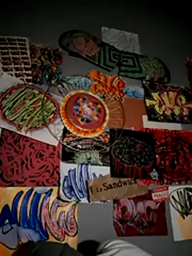 Crazy_TBM-BWC webcam