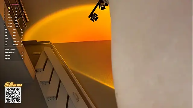 DebraSchneider webcam