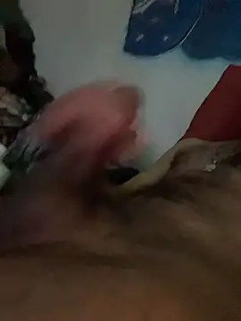 Elvergalarga66622 webcam