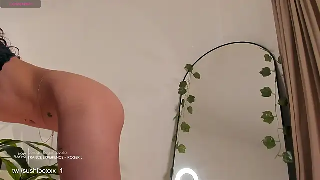 sushiboxxx webcam