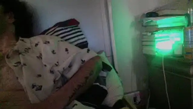 KungFuPanda001 webcam