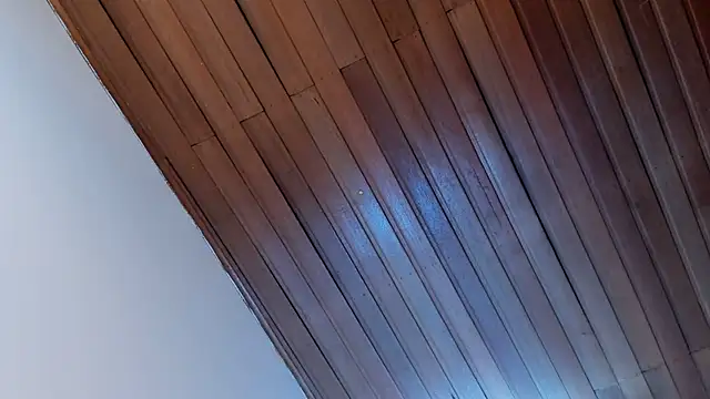 nikolevoshkie_ webcam