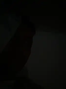 Michaell_Spinelly webcam