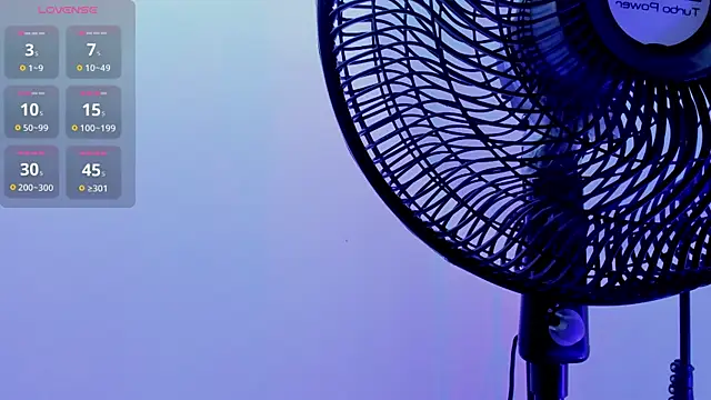 Vittoria_Conti_ webcam