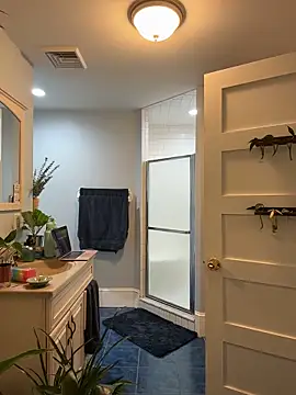 NataLee_vault webcam