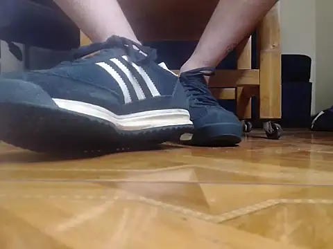 alphaswitchard webcam