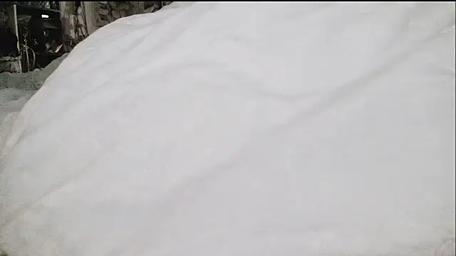 美女hebe-02在线直播