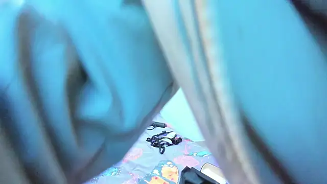 Ronnetemalbec webcam