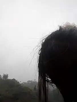 maymay0033 - Maymay0033's free webcam - UK Sex Cams