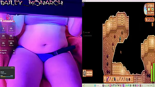 baileymonarch webcam