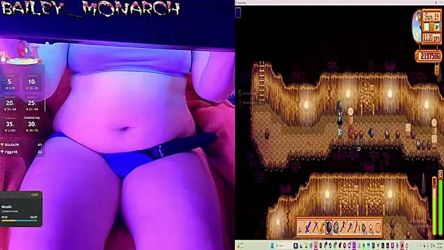 baileymonarch webcam