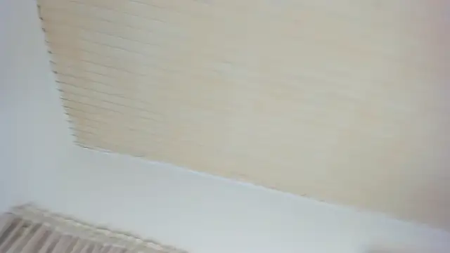 lustyfunteens webcam