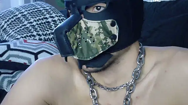 bestofdoseswirls webcam