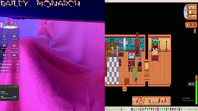 baileymonarch webcam