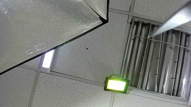 Aisha_hotts777 webcam