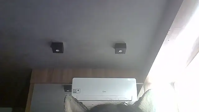 SkinnyKitten webcam