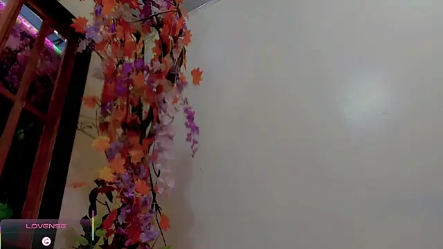 britanny_noroeste webcam