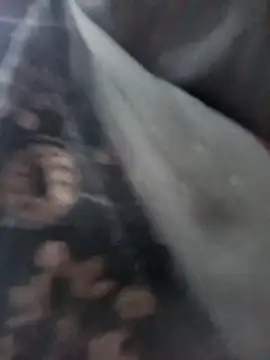 aafreen_36 - Aafreen_36's free webcam - UK Sex Cams