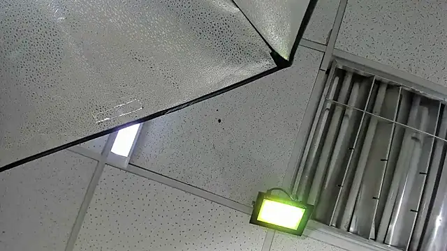 Aisha_hotts777 webcam