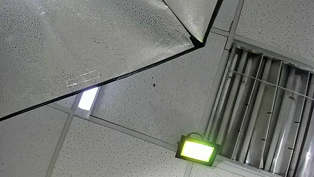 Aisha_hotts777 webcam