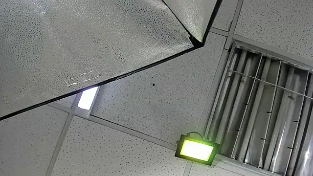 Aisha_hotts777 webcam