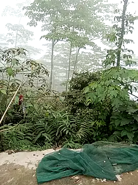 kalara_kail - Kalara_kail's free webcam - UK Sex Cams