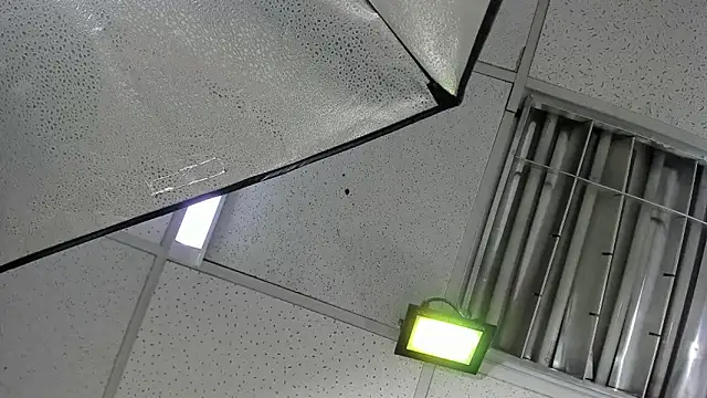 Aisha_hotts777 live sex cam