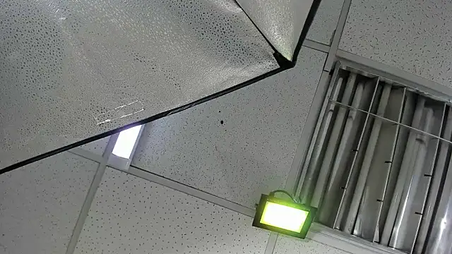 Aisha_hotts777 webcam