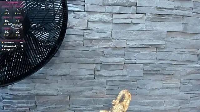 Doble_fantasia webcam