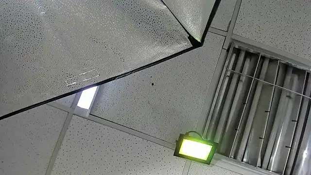 Aisha_hotts777 webcam