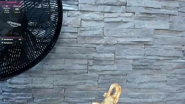 Doble_fantasia webcam