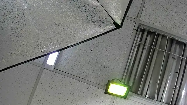 Aisha_hotts777 webcam