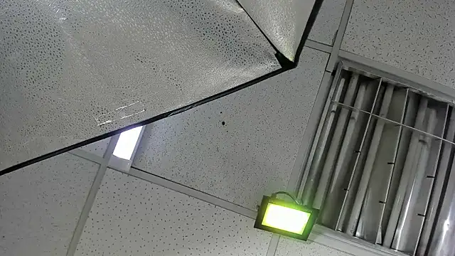 Aisha_hotts777 webcam