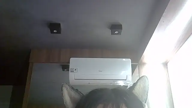 SkinnyKitten webcam