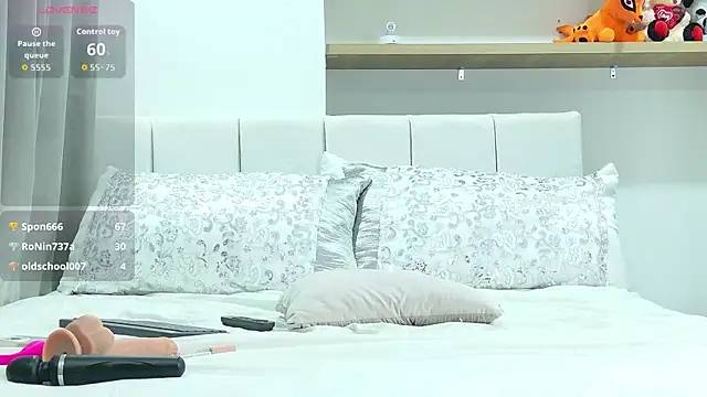 PalmerBeaumont webcam