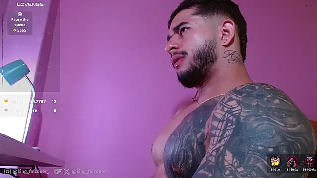 king_falconer webcam