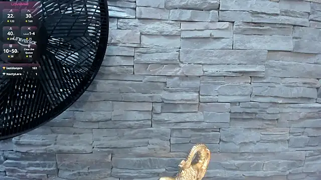 Doble_fantasia webcam