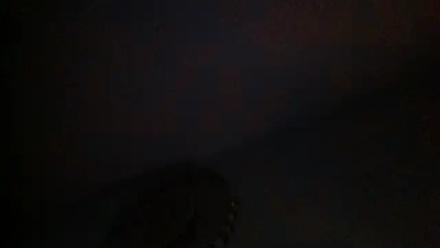 KungFuPanda001 webcam