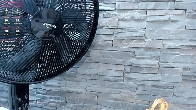 Doble_fantasia webcam