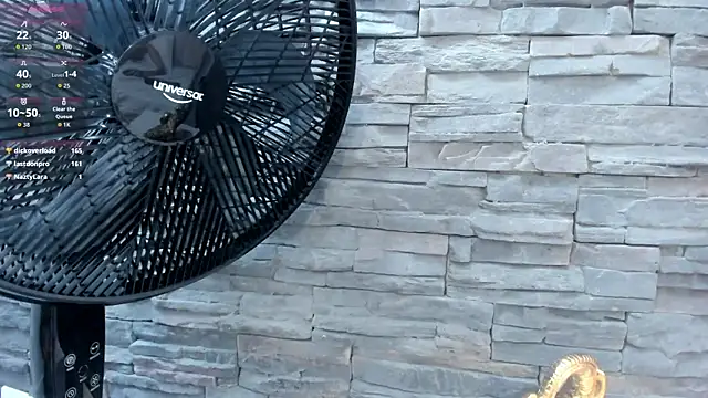 Doble_fantasia webcam