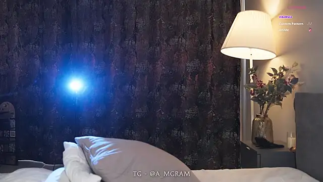 disco_elysium webcam