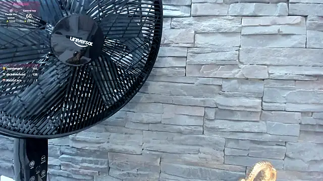 Doble_fantasia webcam